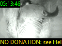 05:13:46