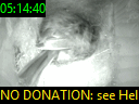 05:14:40
