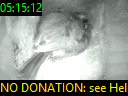 05:15:12
