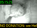 05:15:25