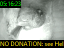 05:16:23