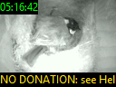 05:16:42