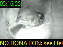 05:16:55