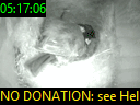 05:17:06