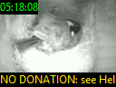 05:18:08