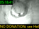 05:18:41