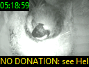 05:18:59