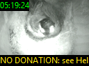 05:19:24