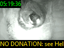 05:19:36