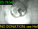 05:19:54