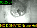 05:25:37
