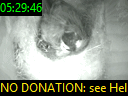 05:29:46
