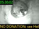 05:30:02