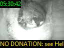 05:30:42