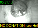 05:31:10