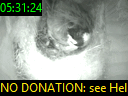 05:31:24