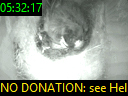 05:32:17