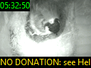 05:32:50