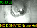05:33:02