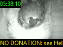 05:38:10