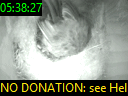 05:38:27