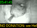 05:41:45