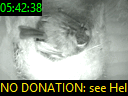 05:42:38
