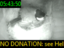 05:43:50