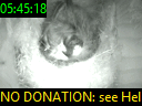 05:45:18