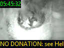 05:45:32
