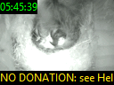 05:45:39