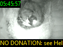05:45:57