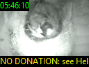 05:46:10
