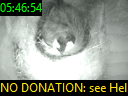05:46:54
