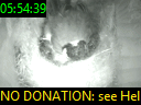 05:54:39