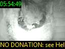 05:54:49