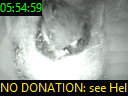 05:54:59