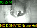 05:55:44