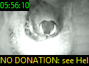 05:56:10