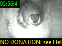 05:56:41