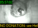 05:57:02