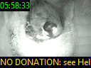 05:58:33
