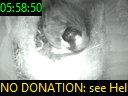 05:58:50