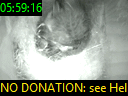 05:59:16