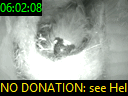06:02:08