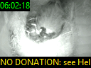 06:02:18