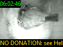 06:02:46
