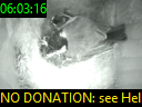 06:03:16