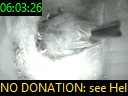 06:03:26