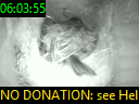 06:03:55